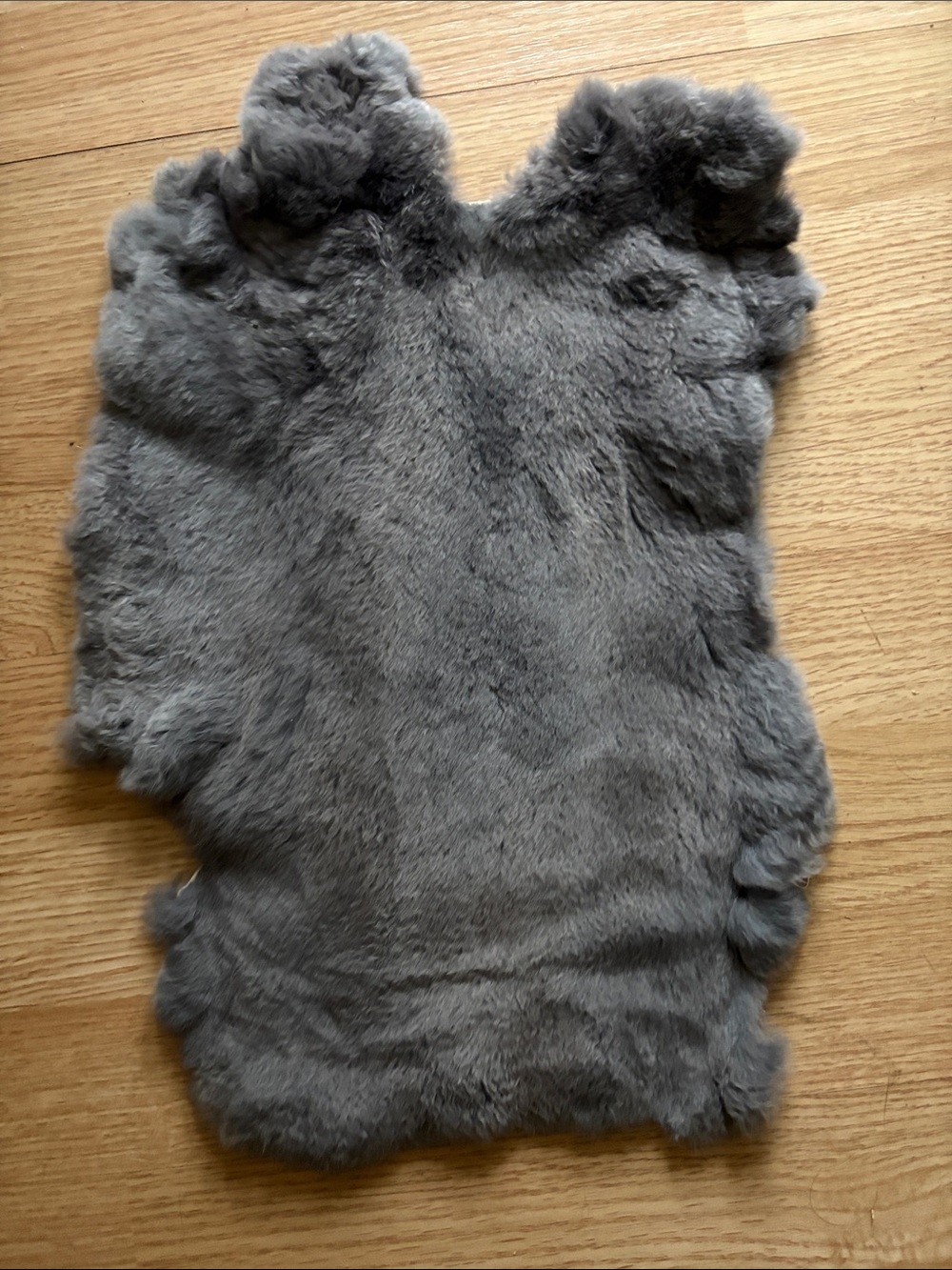 C0020 Rex rabbit hide